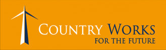 d16550-312-613530-3.png